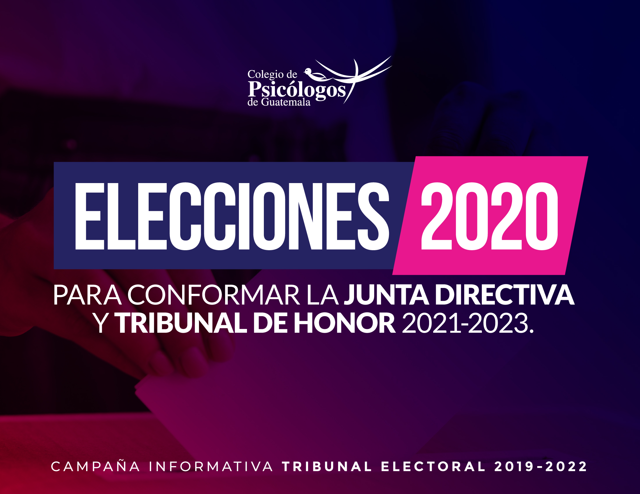 elecciones 2020